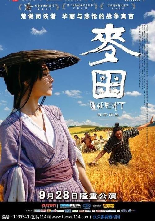 新西兰开放理工学院Mediadiploma